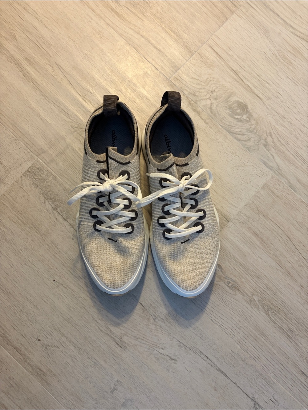 New without tags allbirds shoes